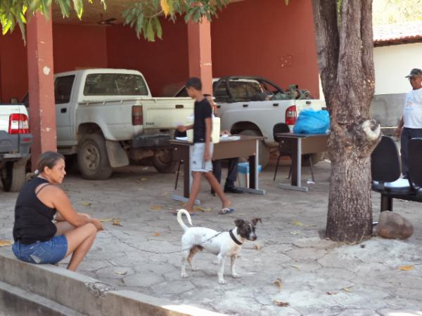 Floriano imuniza animais durante a Campanha de Vacinação Antirrábica.(Imagem:FlorianoNews)