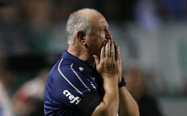 Felip&atilde;o &eacute; o quinto t&eacute;cnico h&aacute; mais tempo no cargo na elite do futebol brasileiro.(Imagem:Cesar Greco / Ag. Palmeiras)