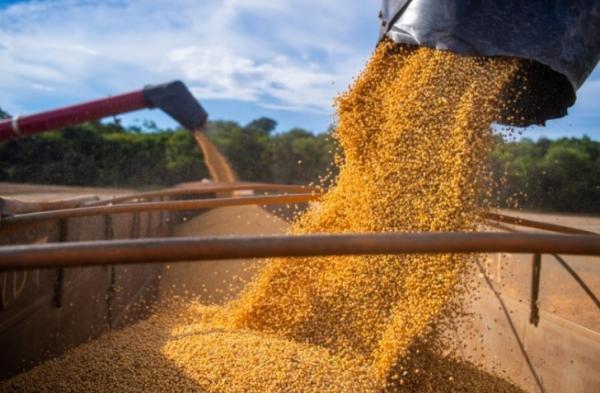 A produ&ccedil;&atilde;o conjunta de soja e milho alcan&ccedil;ar&aacute; cerca de 6,4 milh&otilde;es de toneladas representando 95,5% do total da produ&ccedil;&atilde;o de gr&atilde;os do Piau&iacute;.(Imagem:Aprosoja)