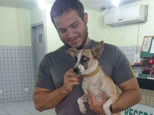 Cadela ser&aacute; levada para um abrigo para animais em Teresina.(Imagem: Juliana Paz/Arquivo pessoal)
