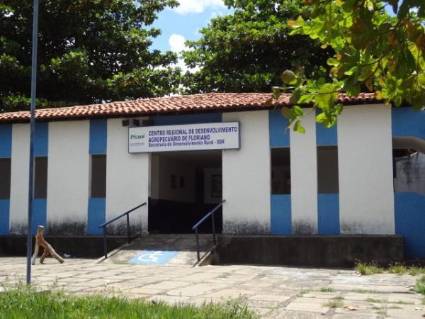Com fim da greve, ADAPI volta a fazer certificação de vacinação em Floriano