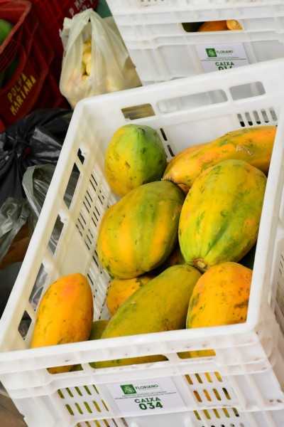 Secretaria de Educação começa a distribuir a merenda oriunda da agricultura familiar