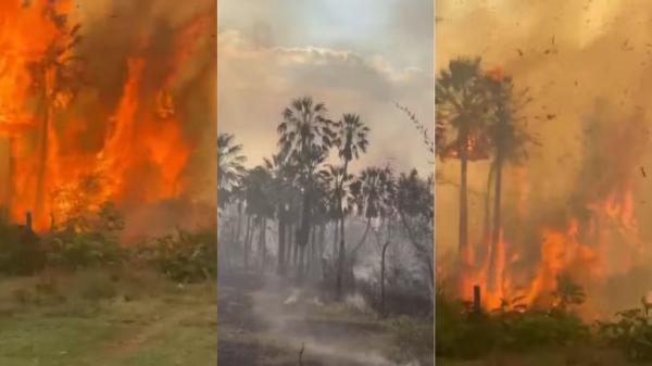 Piauí é o sexto estado com mais focos de incêndios no país na última década, aponta estudo