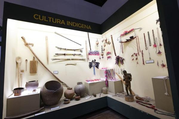 Na Sala da Cultura Ind&iacute;gena, o visitante pode observar peixes fossilizados de 65 milh&otilde;es de anos, da era Mesoz&oacute;ica - Per&iacute;odo Cret&aacute;ceo.(Imagem:Regis Falc&atilde;o)