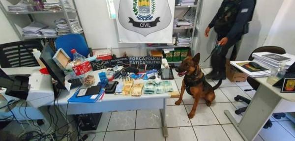Cão farejador descobre local de tráfico de drogas no Sul do Piauí; três suspeitos foram presos