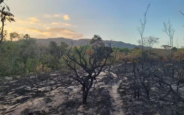 Inc&ecirc;ndio na Chapada dos Veadeiros, em Goi&aacute;s. (Imagem:Divulga&ccedil;&atilde;o / IBC)