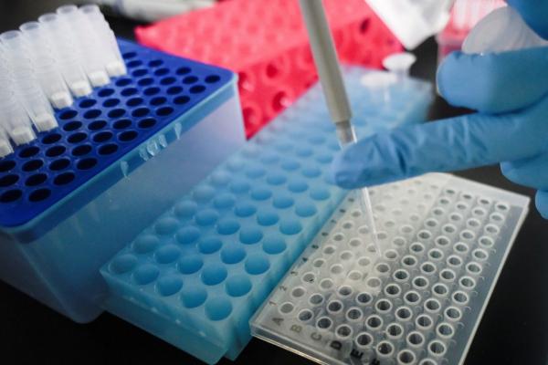 Piauí ultrapassa 4 mil casos de coronavírus e chega a 138 óbitos