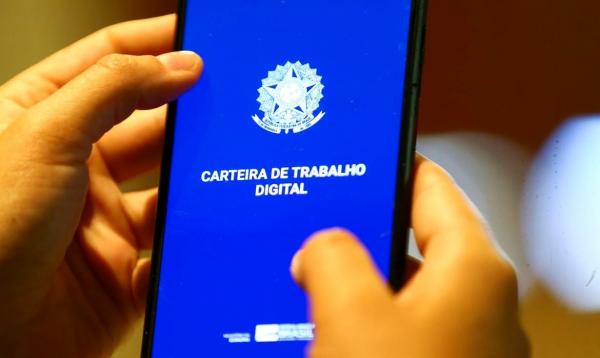Piauí ultrapassa, pela primeira vez, 300 mil trabalhadores com carteira assinada, aponta IBGE
