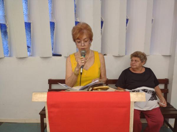 Rubenita Ferreira, diretora do  Col&eacute;gio Industrial. (Imagem:FlorianoNews)