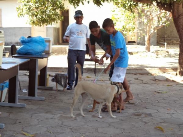 Floriano imuniza animais durante a Campanha de Vacinação Antirrábica.(Imagem:FlorianoNews)