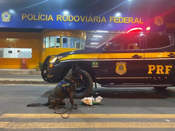 PRF de Floriano apreende drogas avaliadas em R$50 mil
