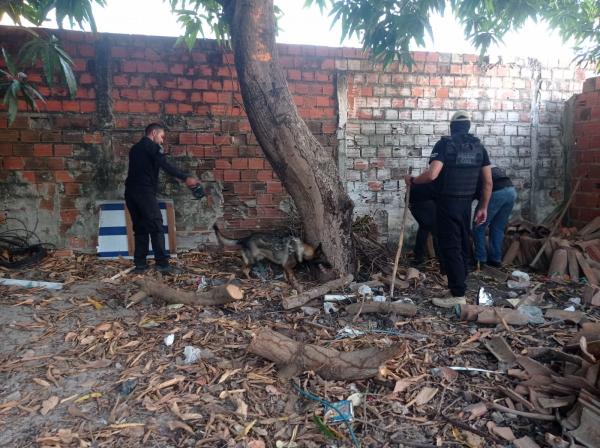 Operação prende mais de 60 pessoas em várias cidades do Piauí