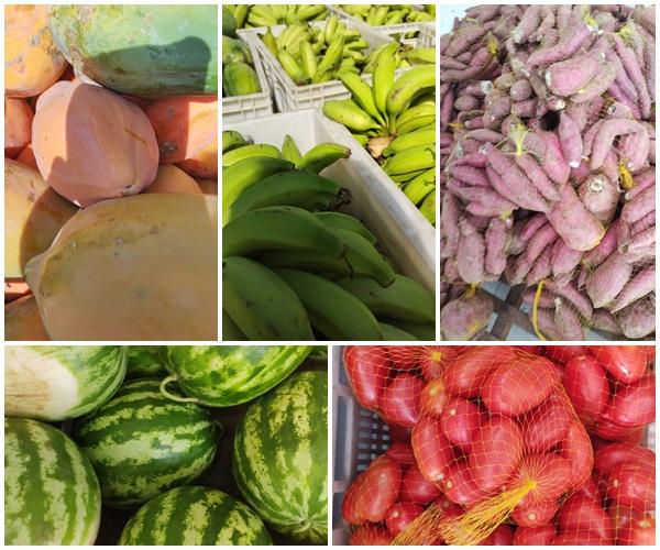 Escolas da Rede Municipal de Floriano são reabastecidas com produtos da Agricultura Familiar