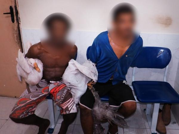 Dupla é presa suspeita de furtar patos, galinhas e capote no Litoral do PI