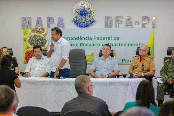 Influenza Aviária: comitê técnico vai elaborar plano de contingência no Piauí