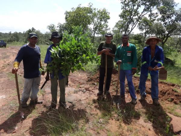 Moradores da localidade Bom Jardim tapam buracos em estrada
