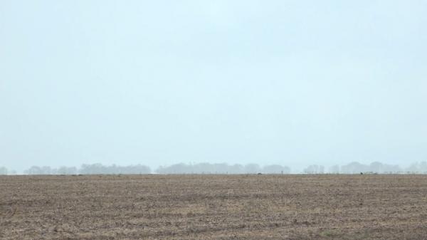No cerrado piauiense, irregularidade da chuva atrasou o calendário agrícola