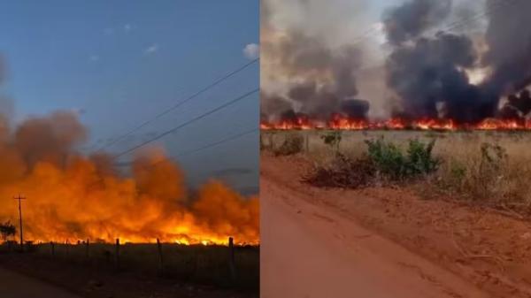 Incêndios atingem pelo menos cinco cidades do Piauí há mais de uma semana, diz Semarh