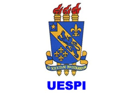 Uespi oferta mais de 200 bolsas para os programas Pibic e Pibiti