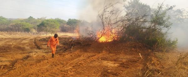Inc&ecirc;ndio fora de controle amea&ccedil;a Serra das Confus&otilde;es e bombeiros enviam refor&ccedil;os(Imagem:Divulga&ccedil;&atilde;o/Corpo de Bombeiros)
