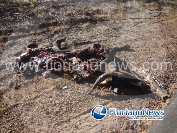 Acidente Grav&iacute;ssimo entre Floriano e Itaueiras(Imagem:Florianoews)