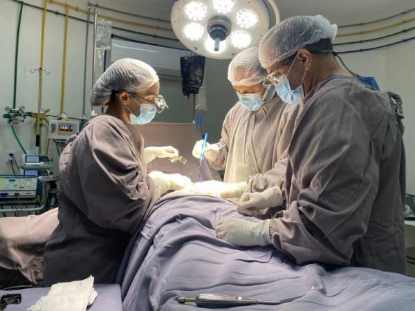 Piauí bate recorde em transplantes e doação de órgãos