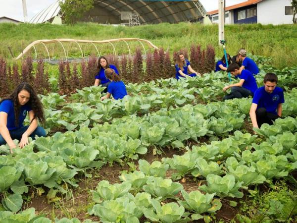 Campanha busca promover participação de mulheres na educação no campo