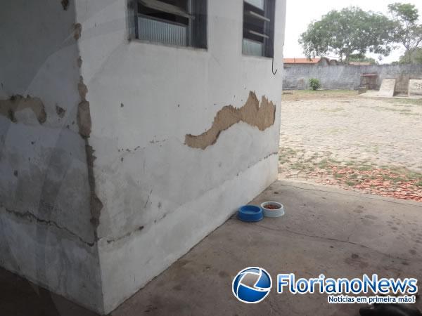 Estrutura do Centro de Controle de Zoonoses de Floriano &eacute; prec&aacute;ria.(Imagem:FlorianoNews)