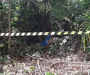 Jovem é encontrado morto em matagal na zona Leste de Teresina