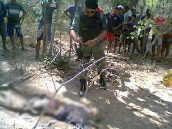 Restos mortais de homem s&atilde;o encontrados na zona rural de Uni&atilde;o.(Imagem:Reprodu&ccedil;&atilde;o/PortalODia)