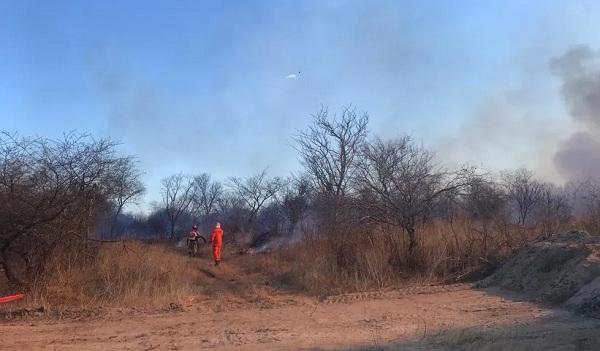  Inc&ecirc;ndio atinge &aacute;rea de mais de 200 hectares de vegeta&ccedil;&atilde;o e mata animais em Dirceu Arcoverde.(Imagem: Divulga&ccedil;&atilde;o )