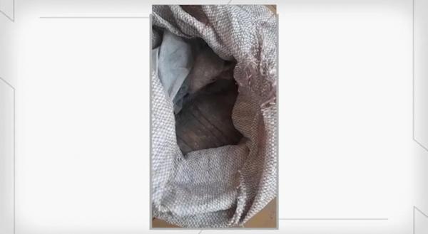 Dono de bar é preso suspeito de vender tatus e tamanduás em Jacobina do Piauí