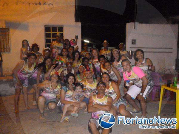 Bloco Galefolia anima o carnaval no bairro S&atilde;o Crist&oacute;v&atilde;o(Imagem:FlorianoNews)