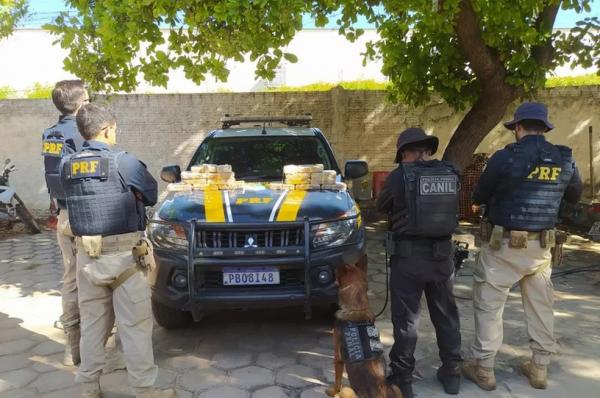 Cão farejador encontra 18 quilos de cocaína na lataria de um carro na BR-135 no Piauí