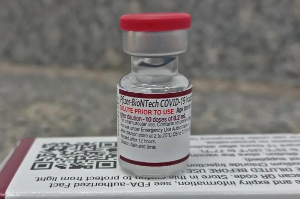 Piauí recebe 110 mil doses de vacinas contra Covid-19 para bebês e crianças