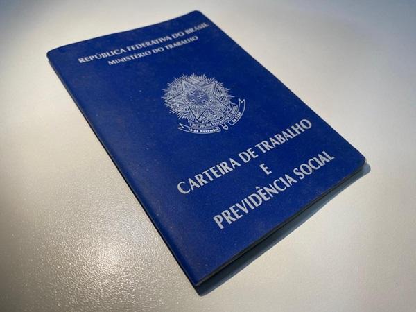 Piauí apresenta terceira maior taxa de trabalho informal do país