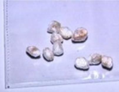 Seis suspeitos de tráfico de drogas são presos em operação no Piauí