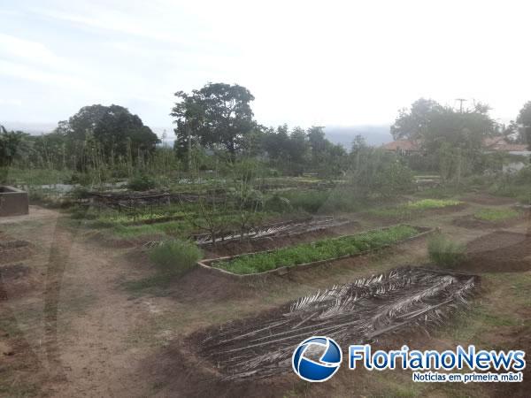 Horticultores cobram provid&ecirc;ncias para o problema da bomba na horta do bairro Alto da Cruz.(Imagem:FlorianoNews)