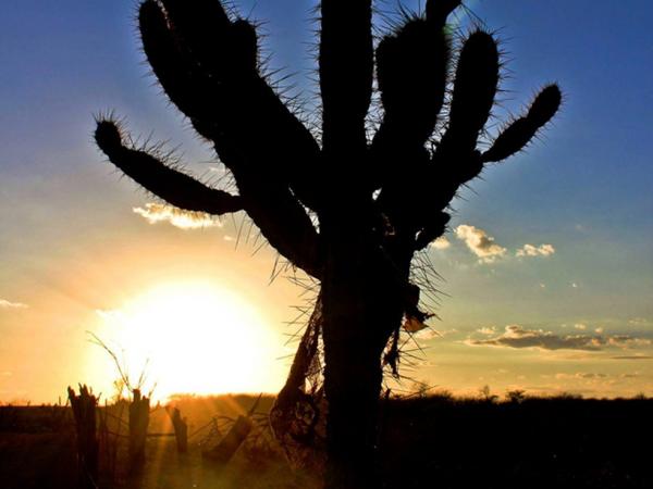 Cidades do Piauí registram menores índices do país de umidade do ar e temperatura acima dos 40ºC