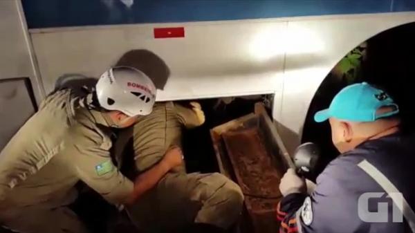 Ladrão pede socorro após ficar preso debaixo de ônibus para roubar