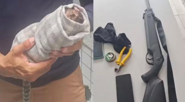 Suspeito de caça ilegal é preso em flagrante na Floresta Fóssil, em Teresina; sagui ferido resgatado(Imagem:Polícia Militar)