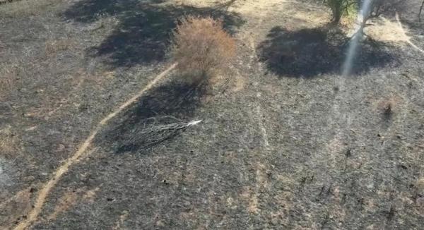 Imagens áreas mostram destruição de incêndio no entorno do Parque Nacional da Serra das Confusões