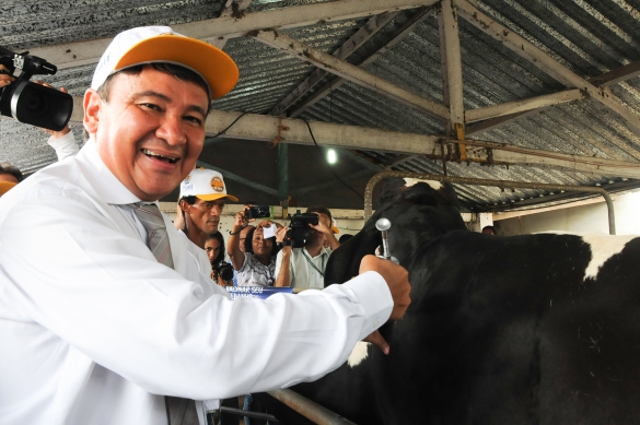 Governo lança vacinação contra aftosa nesta quarta-feira (04)