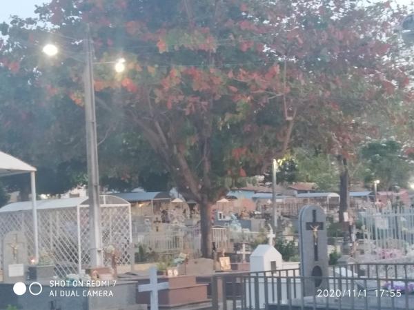 Cemit&eacute;rio Central j&aacute; est&aacute; preparado para receber os visitantes no Dia de Finados(Imagem:FlorianoNews)