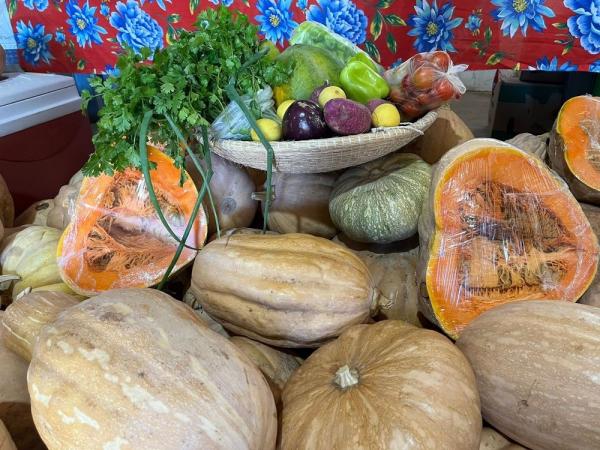 Programa prev&ecirc; investimento para compra e distribui&ccedil;&atilde;o de alimentos produzidos por quilombolas(Imagem:Divulga&ccedil;&atilde;o)