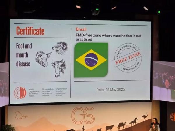 Certificação concedida ao estado pela OMSA em 2025 amplia o acesso do rebanho piauiense a mercados internacionais e consolida avanços na defesa agropecuária.(Imagem:Divulgação)