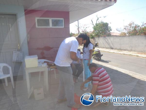 Barão de Grajaú realiza Dia D para vacinar animais