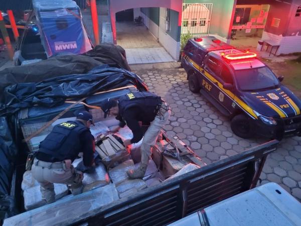 Polícia apreende 650 kg de maconha e investiga grupo criminoso com atuação entre São Paulo e Teresin
