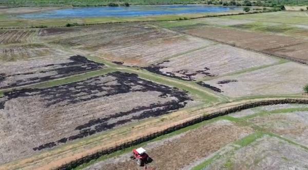 Chuvas causam preju&iacute;zos para produtores de arroz do Norte do Piau&iacute; (Imagem:TV Clube)