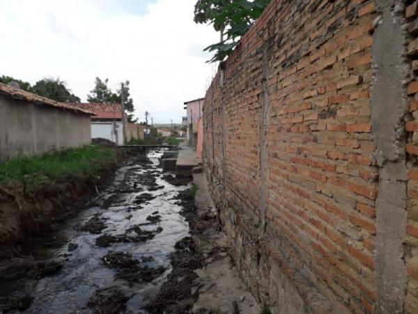 Equipes atuam na desobstrução das margens do Riacho do Leite em Floriano